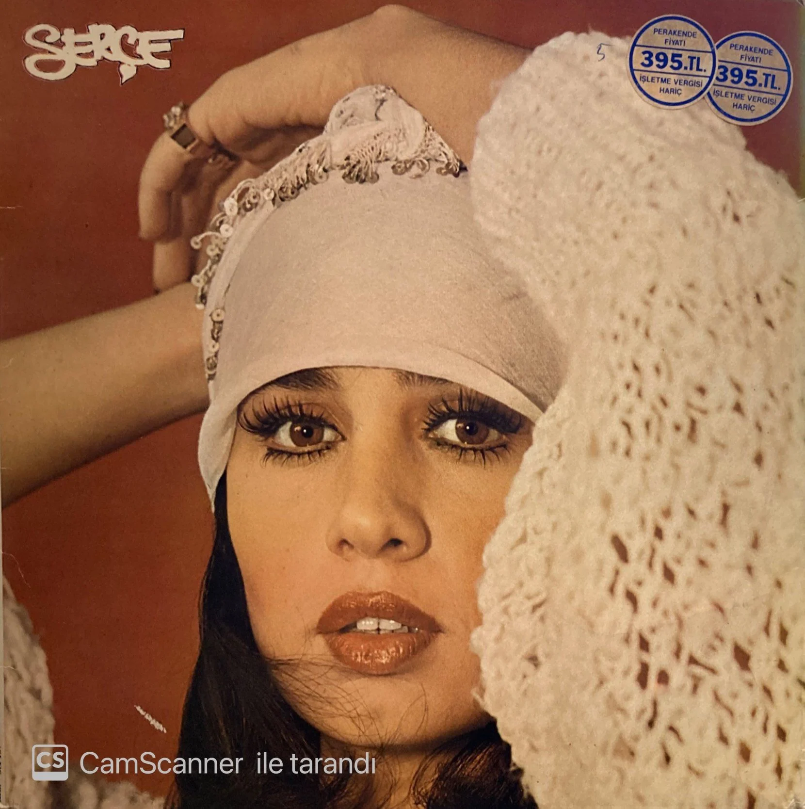 Sezen Aksu Serçe 1978 Lp Plak