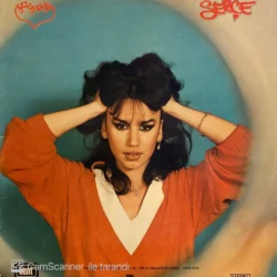 Sezen Aksu Serçe 1978 Lp Plak