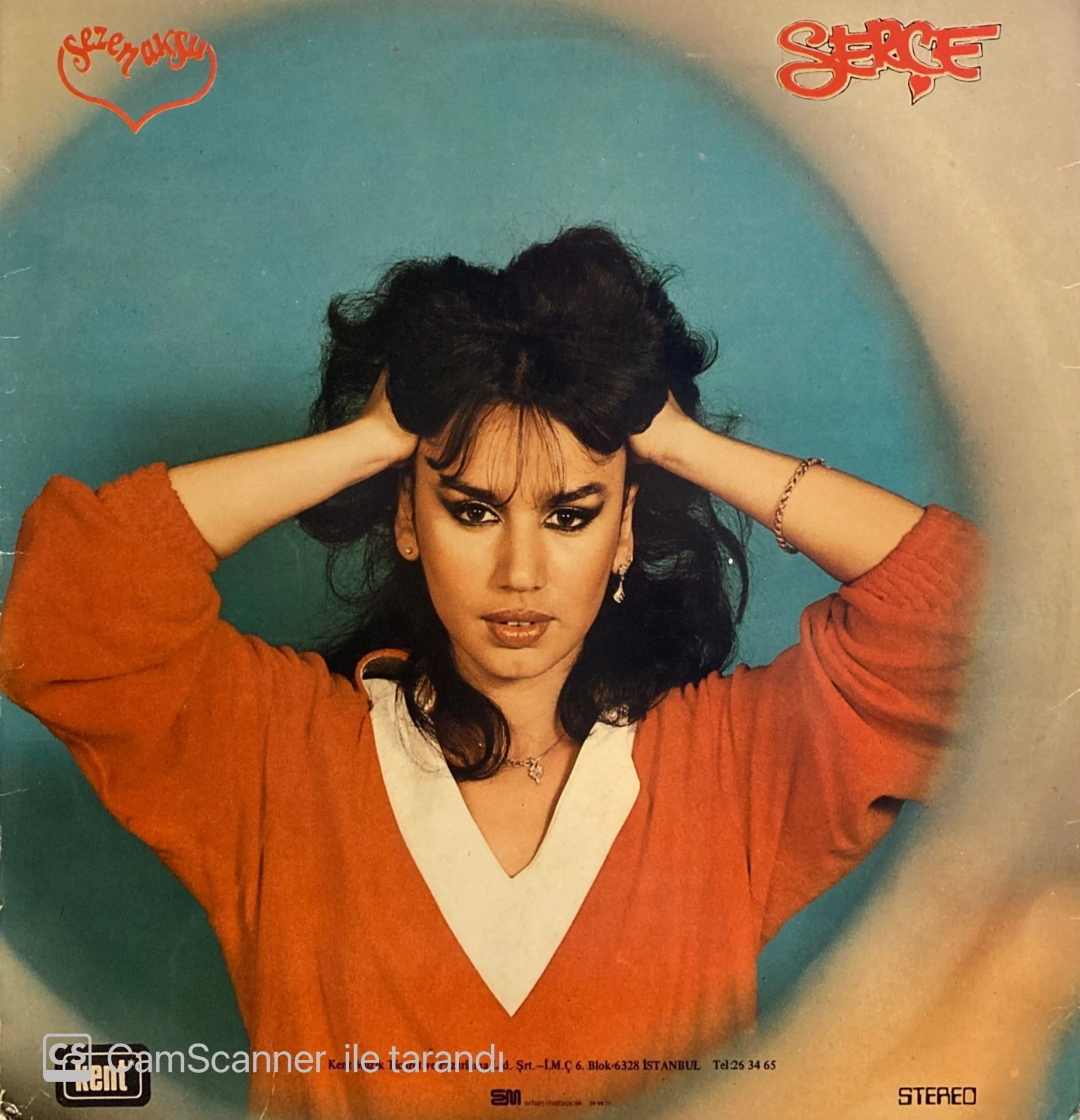 Sezen Aksu Serçe 1978 Lp Plak