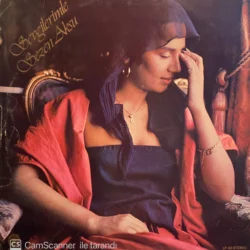 Sezen Aksu - Sevgilerimle 1980 Lp Plak