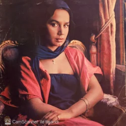 Sezen Aksu - Sevgilerimle 1980 Lp Plak