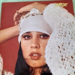 Sezen Aksu - Serçe 2 Lp Dönem baskı