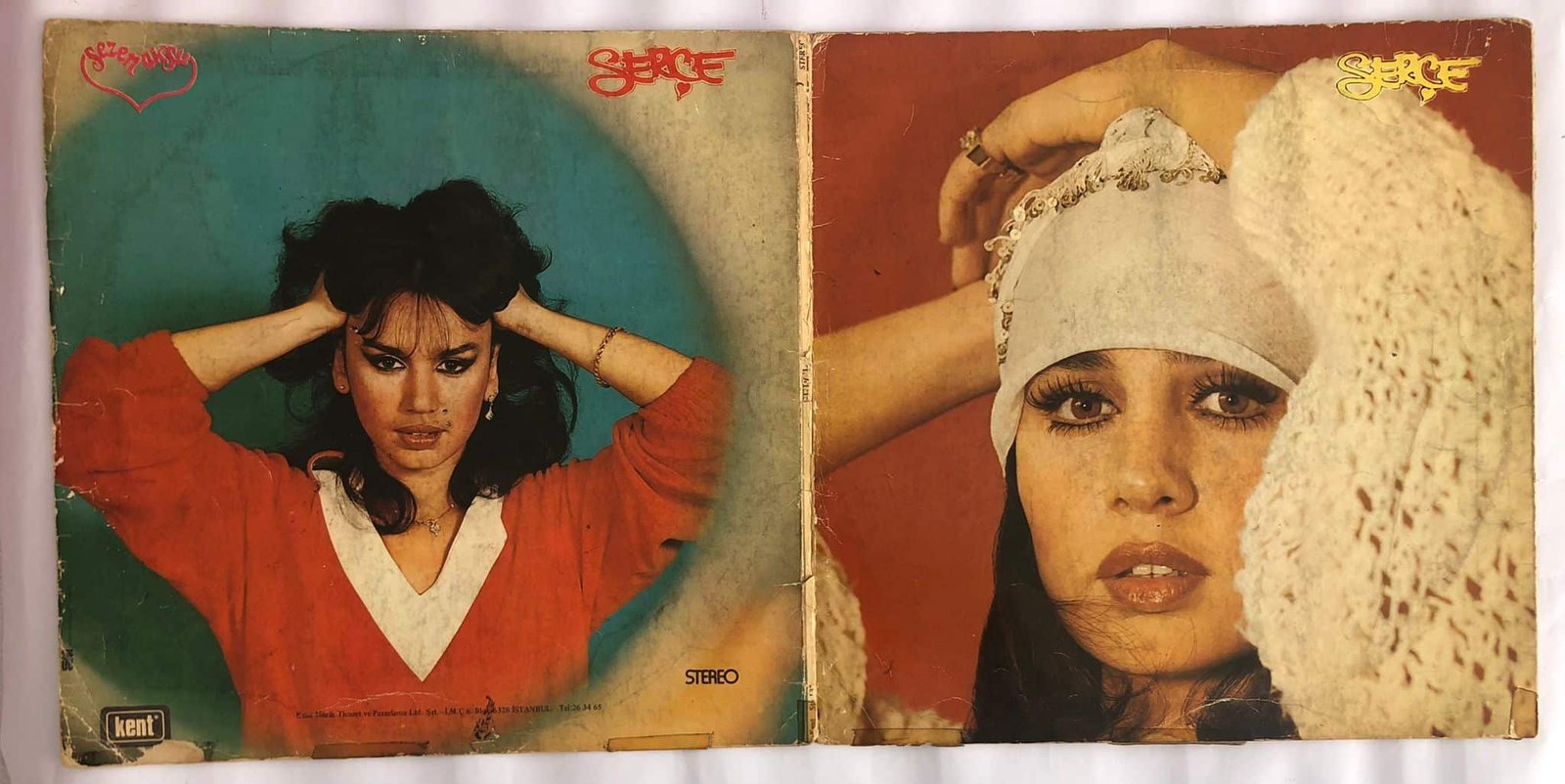 Sezen Aksu – Serçe Dönem Baskı Lp Plak