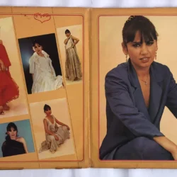Sezen Aksu – Serçe Dönem Baskı Lp Plak