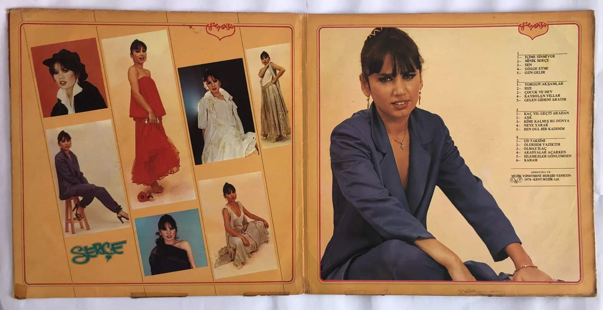 Sezen Aksu – Serçe Dönem Baskı Lp Plak