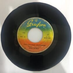 Zeki Müren – Yollar Uzak Gelemedim / Seninle Bir Sonbahar 45 lik plak