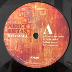 Neşet Ertaş Hata Benim Lp Plak