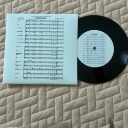 Kişiye Özel 45 lik 4 şarkılı Plak Doldurma