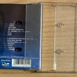 Manga Bir Kadın Çizeceksin Kaset